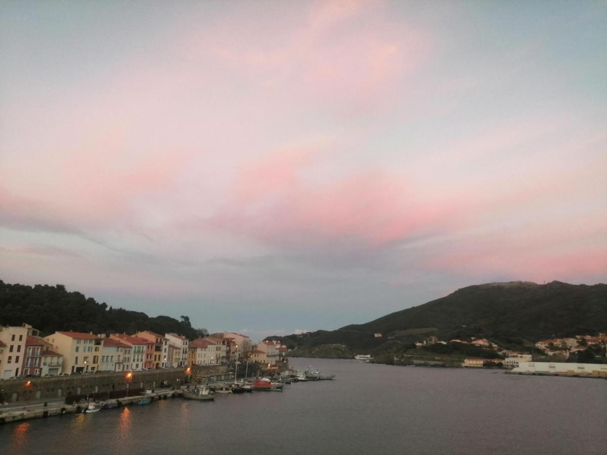 Vue Sur Mer! Levers De Lune Et Soleil En Direct! Apartment Port Vendres Bagian luar foto